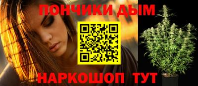 крисы Лесосибирск